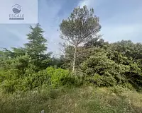 Terrain, 6 091 m²