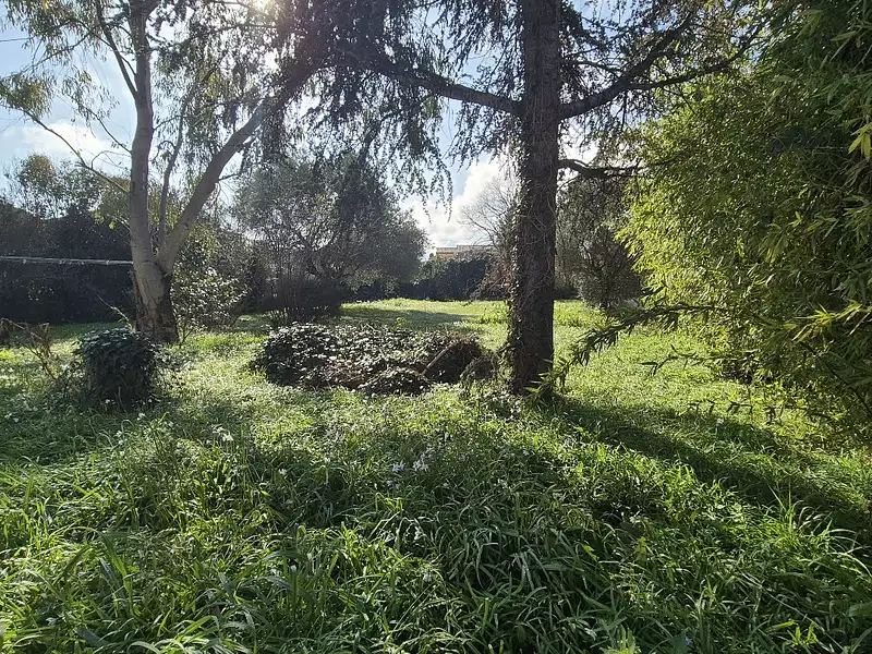 Maison, 190 m²