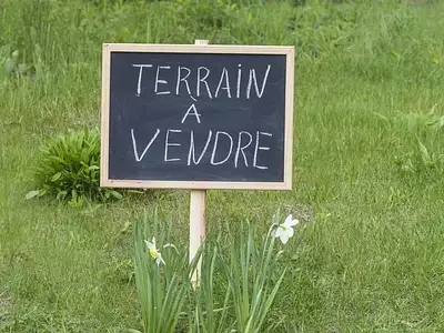 Terrain