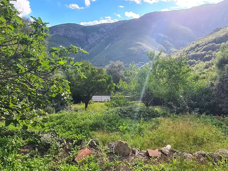 Terrain, 585 m²