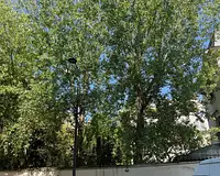 Appartement, 18,04 m²