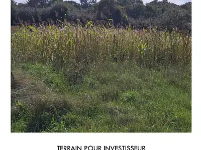 Terrain, 500 m²