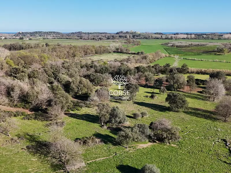 Maison, 95 m²