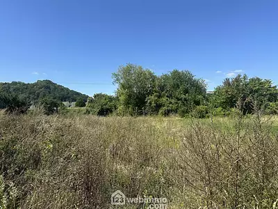 Terrain