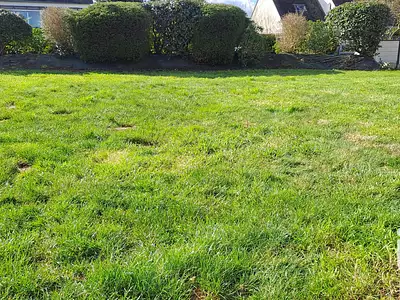 Maison, 84 m²