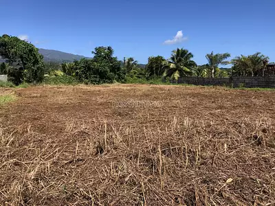 Terrain, 693 m²