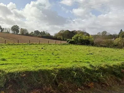 Terrain, 1 265 m²