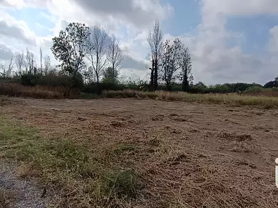 Terrain, 3 239 m²