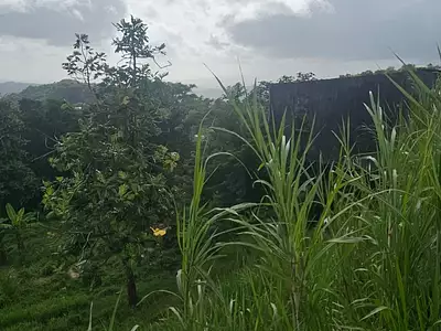 Terrain, 1 328 m²