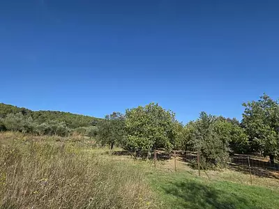 Terrain, 1 490 m²