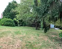 Terrain