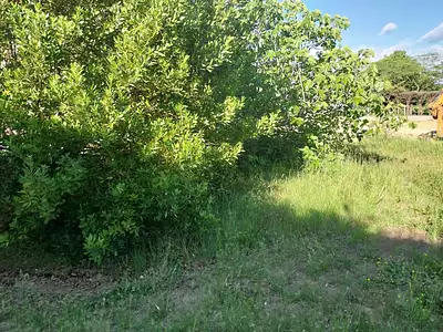 Terrain, 502 m²