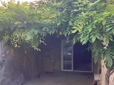 Maison, 256 m²