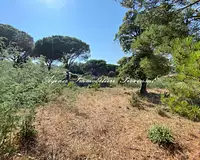 Terrain, 1 270 m²