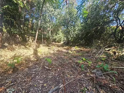 Terrain, 950 m²