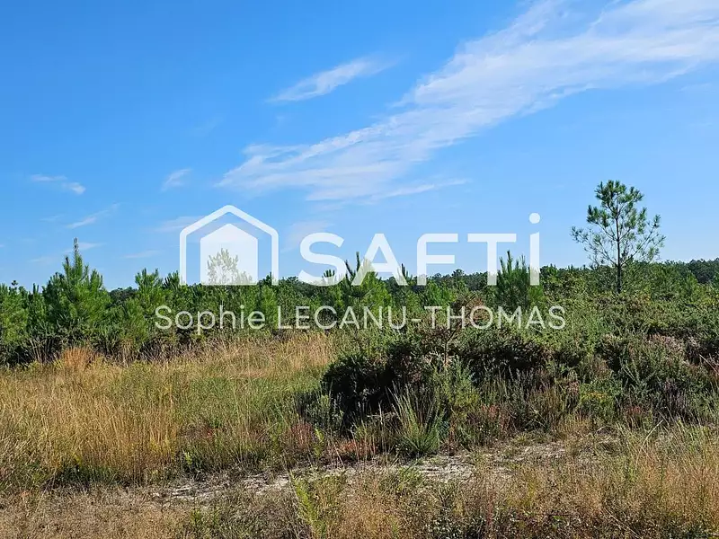 Terrain, 117 075 m²