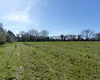 Terrain, 13 535 m²