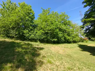 Terrain, 4 700 m²