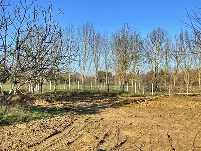 Terrain, 520 m²