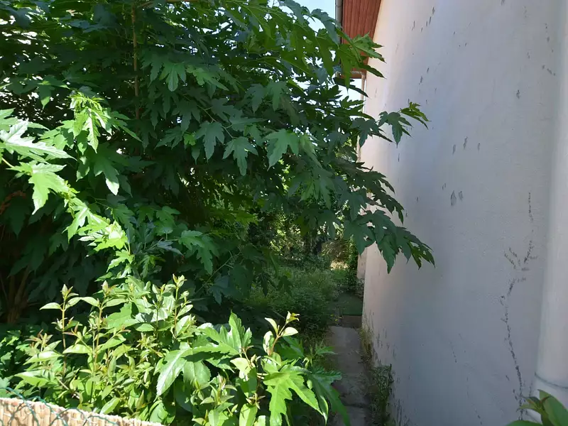 Maison, 70 m²