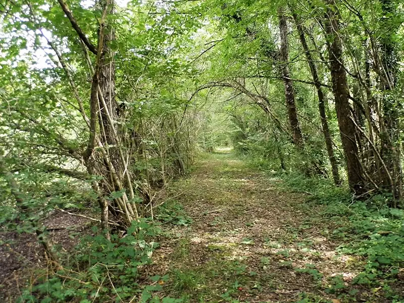 Terrain, 464 000 m²