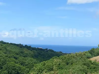 Maison, 290 m²