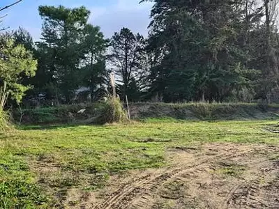Terrain
