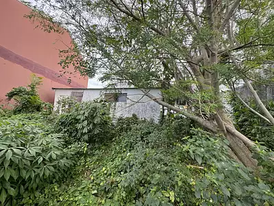 Maison, 57 m²