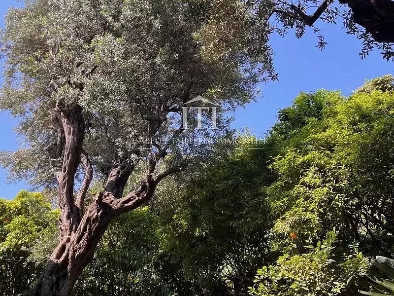 Maison, 280 m²