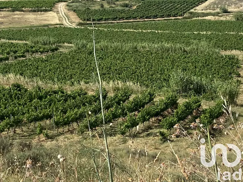 Terrain, 52 610 m²