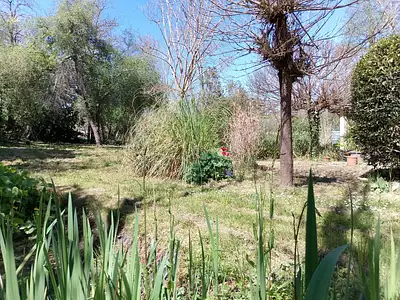 Maison, 280 m²