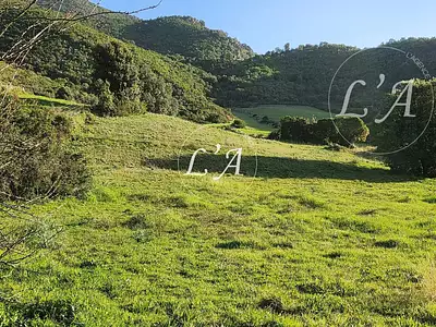 Terrain, 1 500 m²