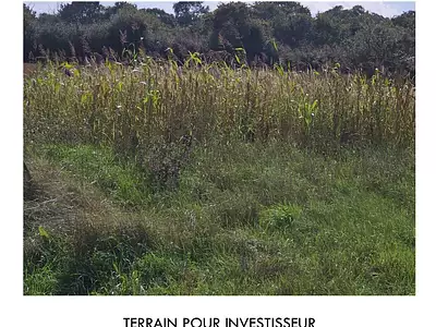 Terrain, 500 m²
