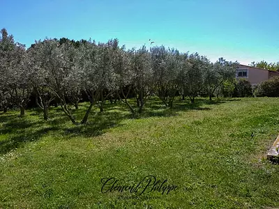 Terrain, 1 650 m²