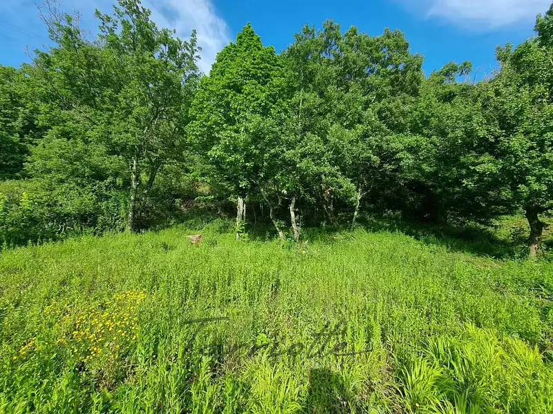 Terrain, 1 460 m²