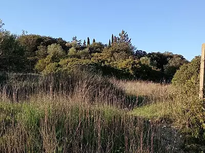 Terrain, 3 630 m²