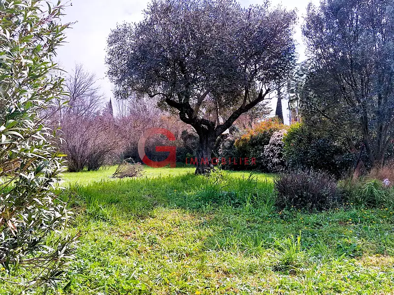 Terrain, 1 037 m²