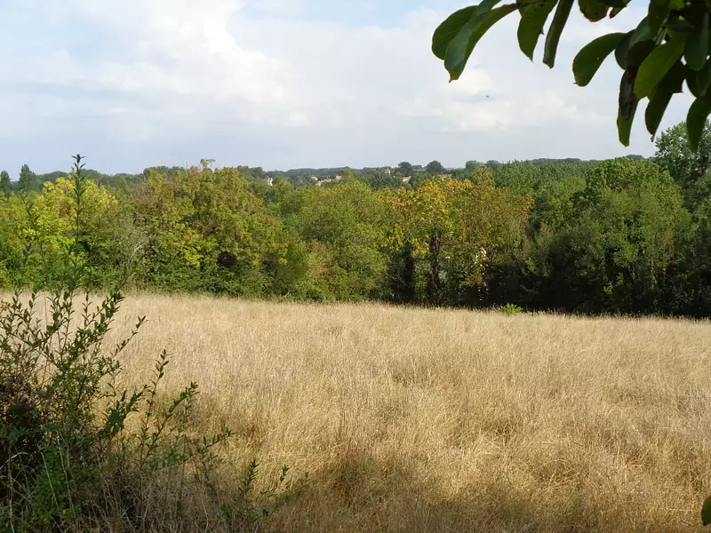 Terrain, 4 911 m²