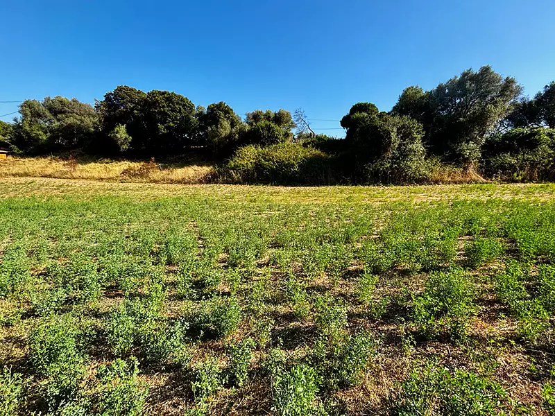 Terrain, 1 200 m²