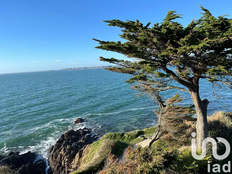 Appartement, 100 m²