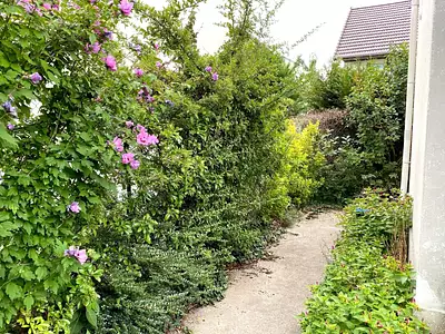 Appartement, 34,62 m²