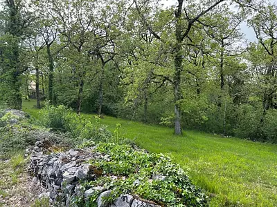 Terrain, 2 530 m²