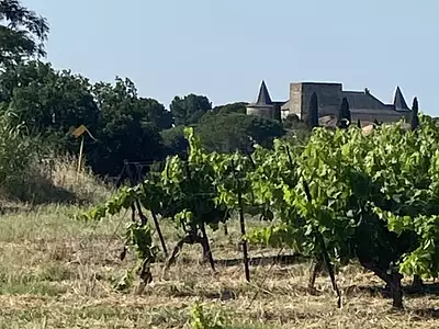 Terrain, 105 426 m²