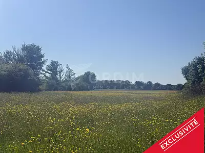 Terrain, 2 560 m²