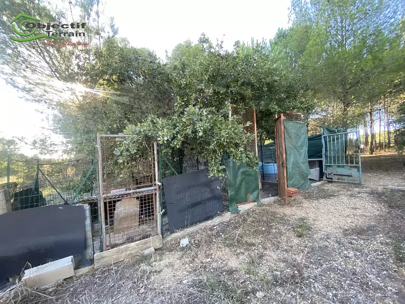 Terrain, 3 705 m²