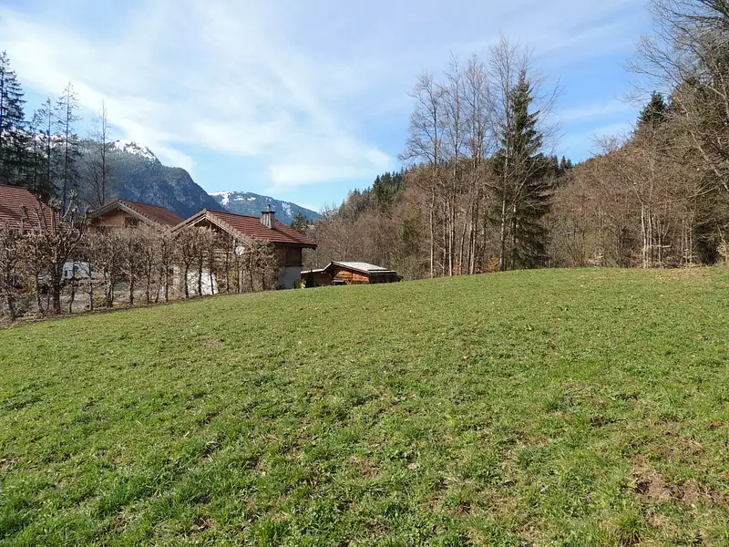 Terrain, 1 567 m²
