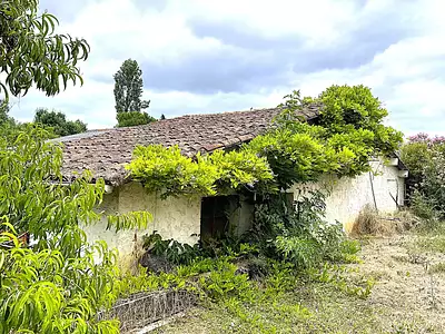 Maison, 236,7 m²