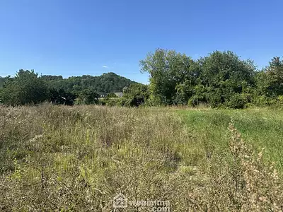 Terrain