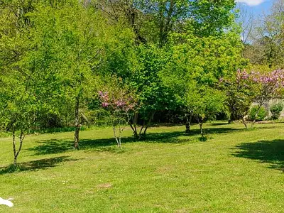 Maison, 490 m²