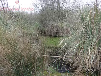 Terrain, 4 400 m²